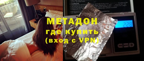 прущие грибы Аркадак
